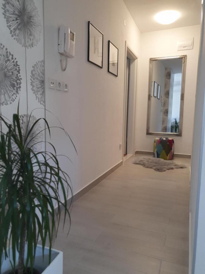 Apartment Tonka شيبينيك المظهر الخارجي الصورة